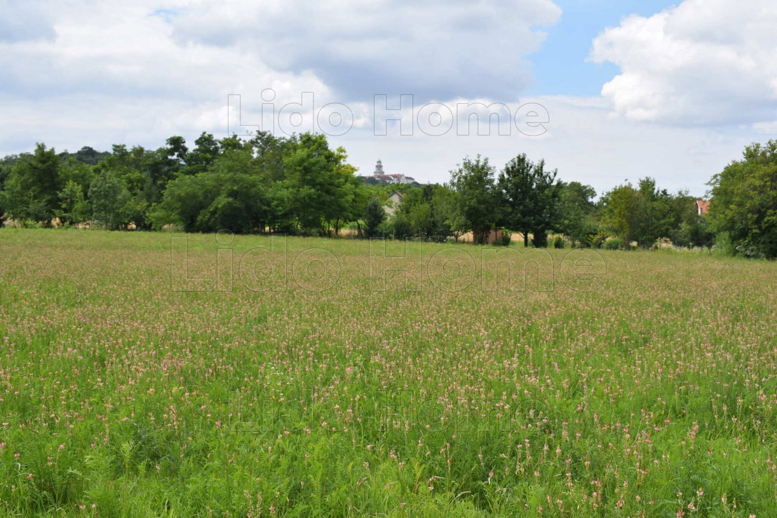 7598 m² · 16.500.000 Ft