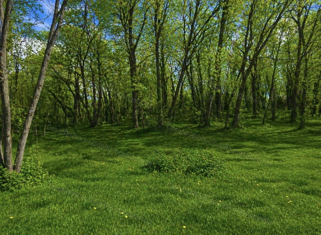 Eladó üzlethelyiség, Veresegyházon 49 M Ft