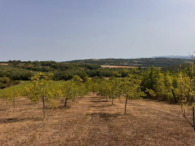 Eladó nyaraló, Zalaszentgróton 22.9 M Ft, 3 szobás