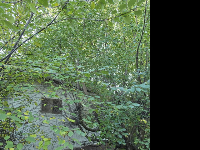 Eladó családi ház, Baracskán 49.9 M Ft, 2 szobás