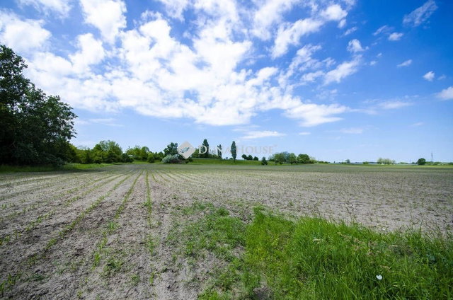 Eladó telek, Pusztavacson 99 M Ft / költözzbe.hu