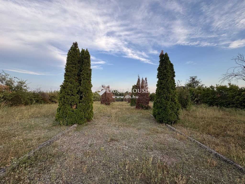 5549m² · 240.000.000 ft