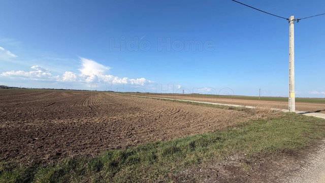 Eladó telek, Balatonszabadiban 16 M Ft / költözzbe.hu