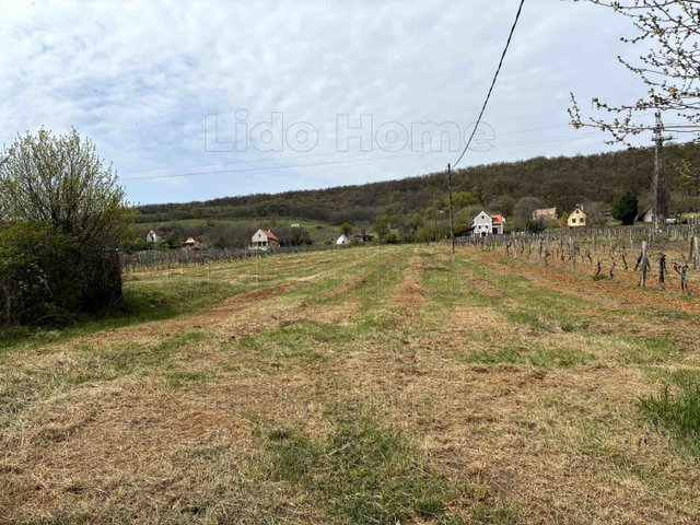 Eladó mezogazdasagi ingatlan, Balatonszepezden 75 M Ft