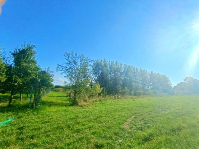 Eladó családi ház, Sárospatakon 40 M Ft, 1 szobás