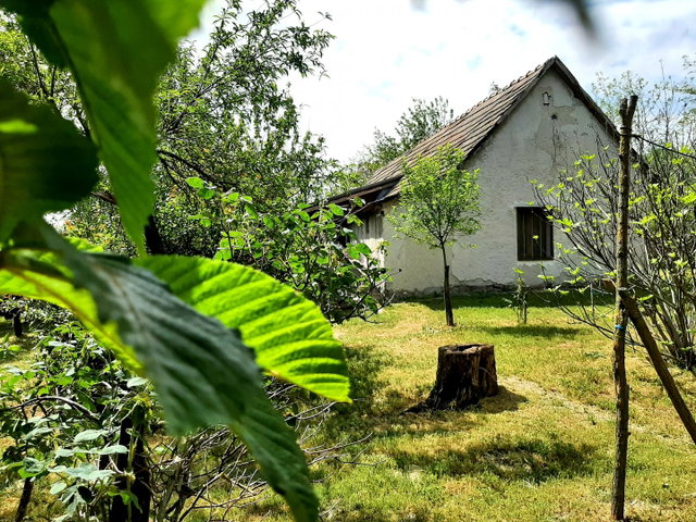 Eladó mezogazdasagi ingatlan, Szabadszálláson 13 M Ft