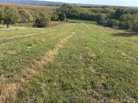 Eladó mezogazdasagi ingatlan, Homokkomáromon 5.95 M Ft