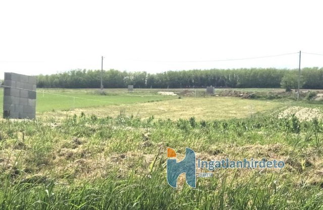 Eladó mezogazdasagi ingatlan, Alsópáhokon 15.9 M Ft