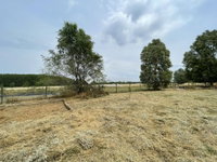 Eladó mezogazdasagi ingatlan, Kecskeméten 75 M Ft