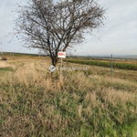 Eladó telek, Sopronban 23.3 M Ft / költözzbe.hu