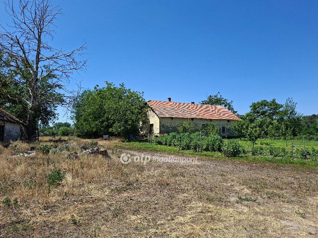 Eladó mezogazdasagi ingatlan, Szatymazon 60 M Ft