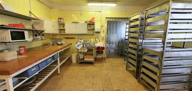 Eladó ipari ingatlan, Békéscsabán 200 M Ft