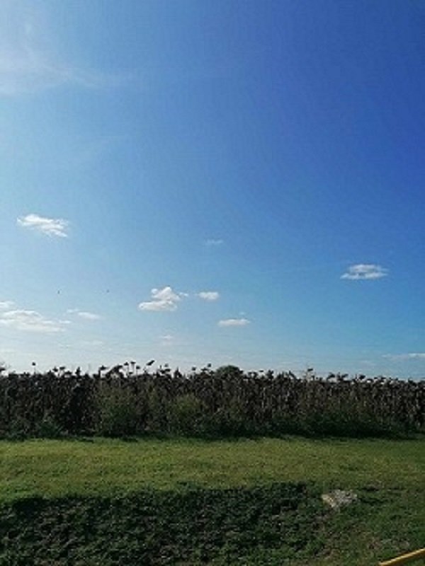 Mezogazdasagi ingatlan · 30656 m² · 5.400.000 Ft