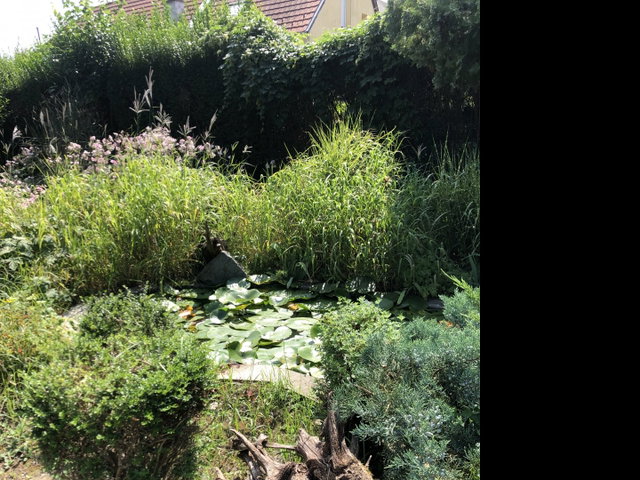 Eladó telek, Kimlén 79.8 M Ft / költözzbe.hu