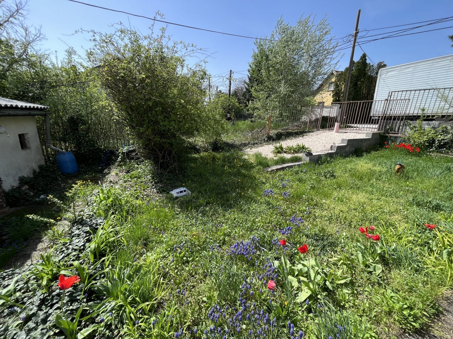 1107m² · 41.900.000 ft