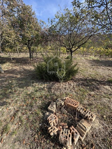 Eladó ipari ingatlan, Bajon 29.5 M Ft, 1 szobás