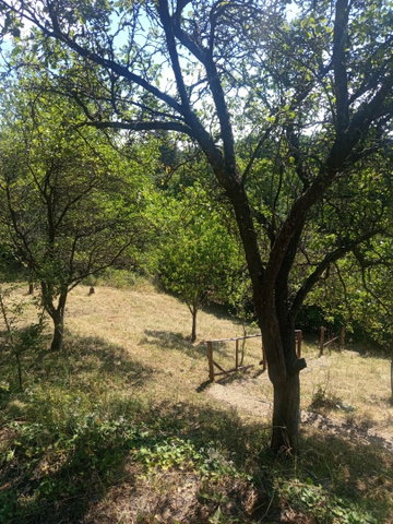 Eladó nyaraló, Miskolcon 11.5 M Ft, 2 szobás
