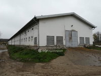 Eladó ipari ingatlan, Mezőhegyesen 300 M Ft / költözzbe.hu