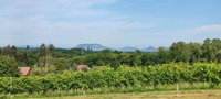 Eladó telek, Balatonbogláron 16.9 M Ft / költözzbe.hu