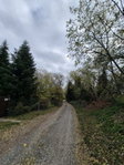 Eladó mezogazdasagi ingatlan, Pázmándfalun 7 M Ft