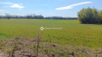 Eladó telek, Szadán 8 M Ft / költözzbe.hu