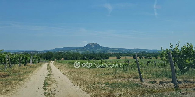 Eladó telek, Kisapátiban 36.5 M Ft / költözzbe.hu