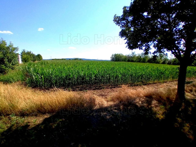 Eladó ipari ingatlan, Balatonszárszón 50 M Ft