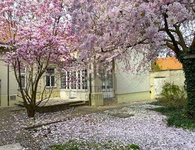 Kiadó családi ház, albérlet, Kecskeméten 590 E Ft / hó