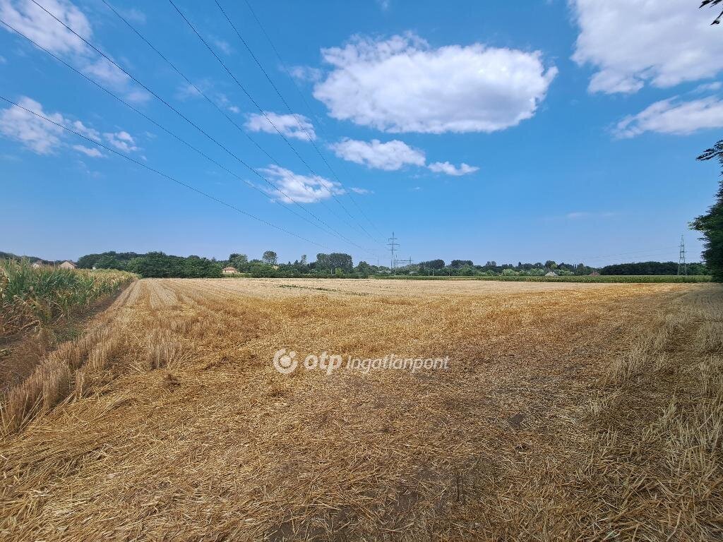 6893 m² · 9.900.000 Ft