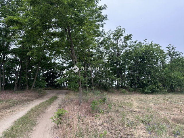Eladó telek, Dabason 8.9 M Ft / költözzbe.hu