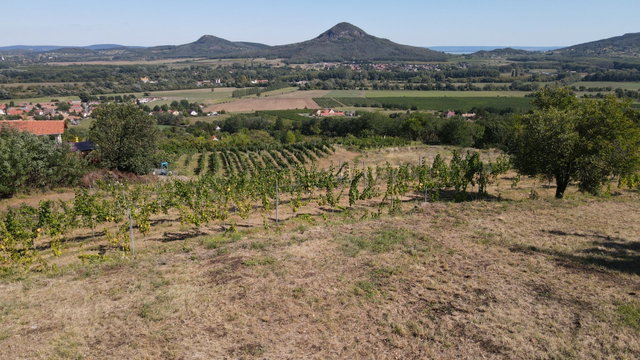 Eladó nyaraló, Kisapátiban 115 M Ft, 2 szobás