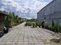 Eladó telek, Komáromban, Igmándi úton 55 M Ft
