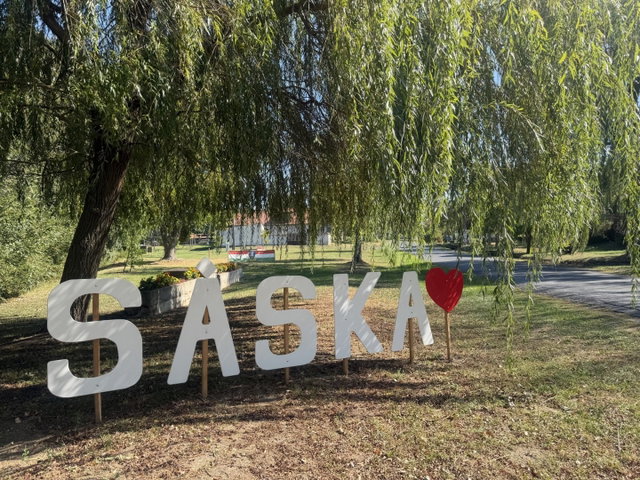 Eladó téglalakás, Sáskán 29.4 M Ft, 1 szobás
