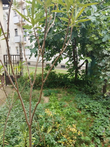 Eladó családi ház, Pécsett, Balassa Bálint utcában 45 M Ft