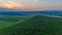 Eladó mezogazdasagi ingatlan, Abodon 99.9 M Ft