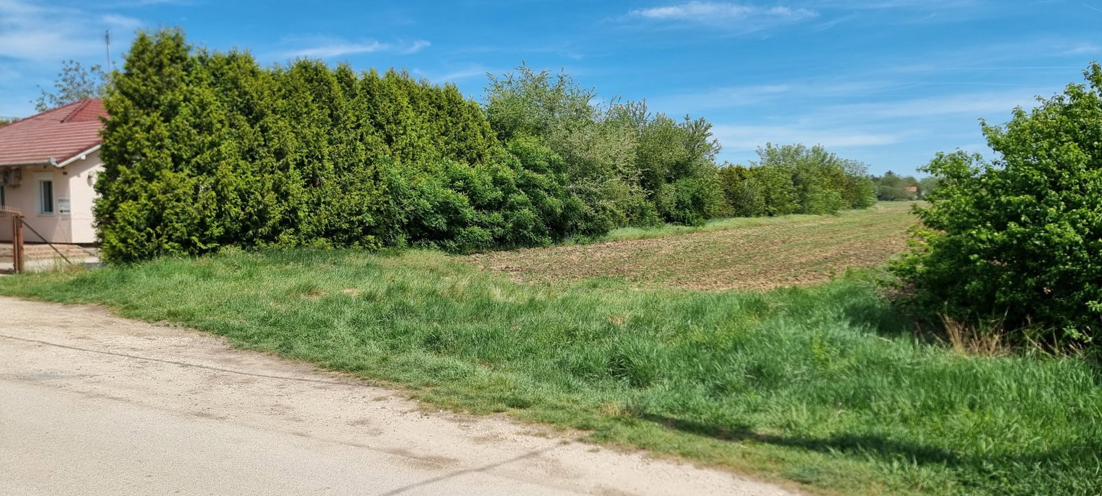 1248m² · 54.900.000 ft