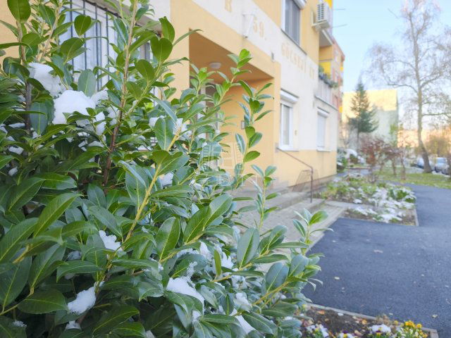 Kiadó téglalakás, albérlet, Zalaegerszegen 110 E Ft / hó