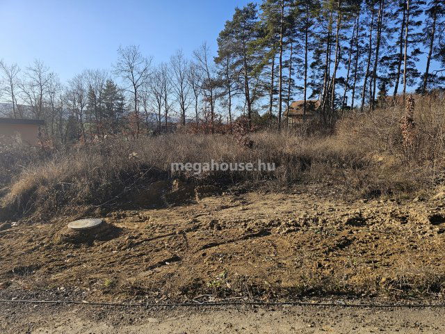 Eladó telek, Pilisborosjenőn 45 M Ft / költözzbe.hu