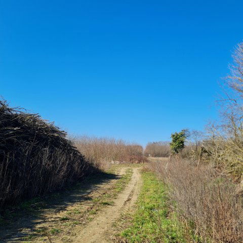 Eladó mezogazdasagi ingatlan, Inkén 32 M Ft / költözzbe.hu