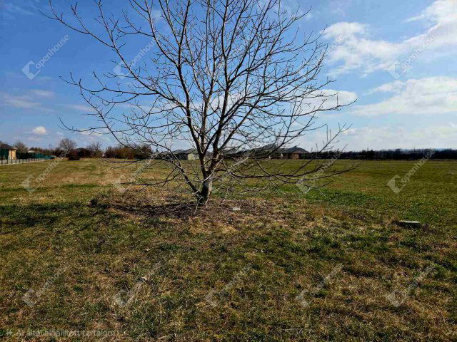 Eladó telek, Székesfehérvárott 95 M Ft / költözzbe.hu