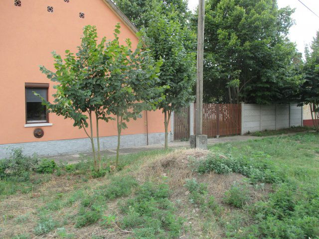 Eladó családi ház, Csorváson 9.9 M Ft, 2 szobás