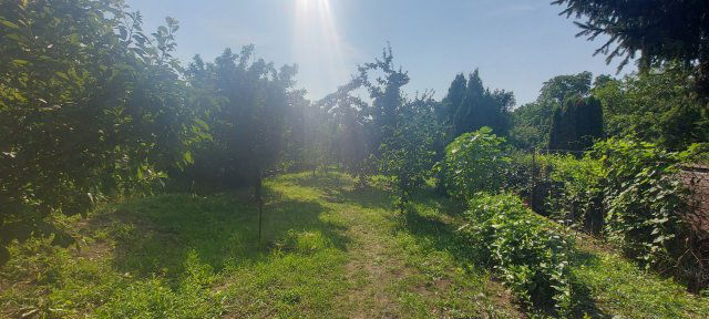 Eladó családi ház, Arnóton 34.5 M Ft, 3 szobás