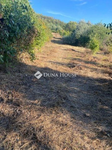 Eladó telek, Esztergomban 10 M Ft / költözzbe.hu