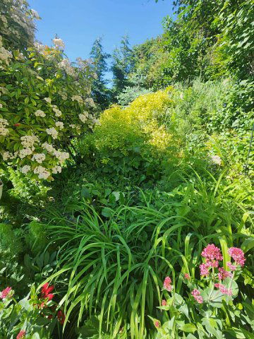 Eladó családi ház, Pécsett 199.9 M Ft, 6 szobás