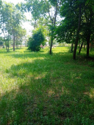 Eladó telek, Gyomaendrődön 7.9 M Ft / költözzbe.hu