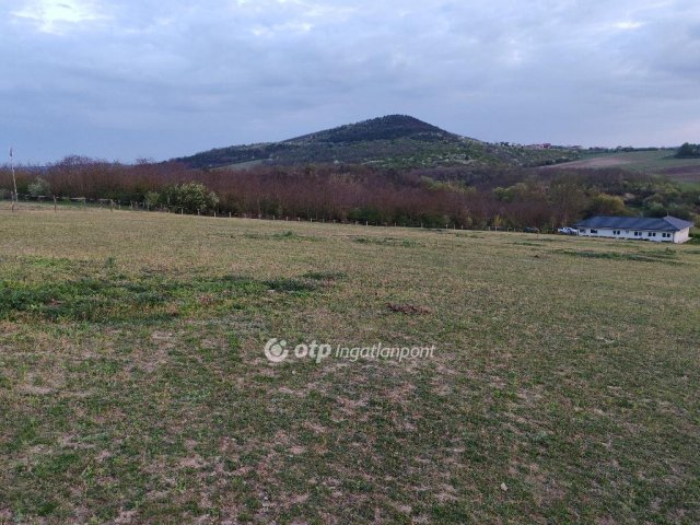 Eladó telek, Szomoron 35 M Ft / költözzbe.hu
