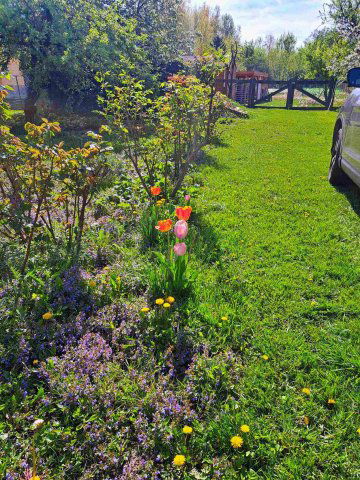 Eladó telek, Rábapordányon 7.5 M Ft / költözzbe.hu