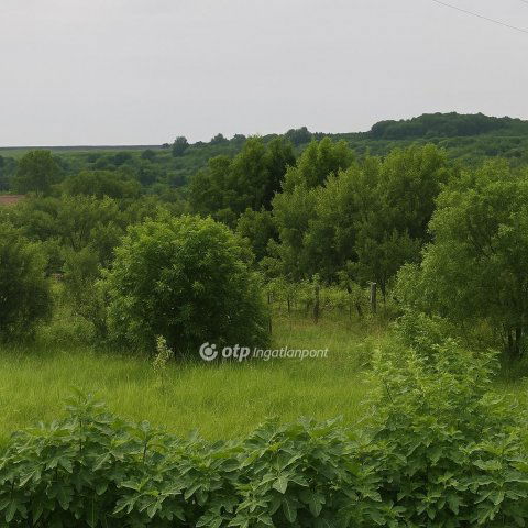 Eladó telek, Demjénben 8.5 M Ft / költözzbe.hu