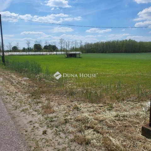 Eladó telek, Balástyán 5 M Ft / költözzbe.hu