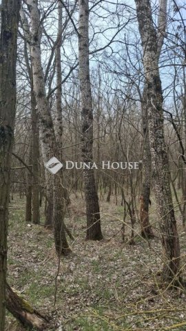 Eladó mezogazdasagi ingatlan, Kunszentmiklóson 15 M Ft